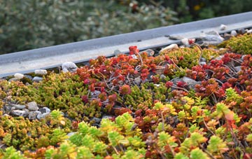 the cost of Prickwillow green roof installation